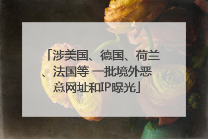 涉美国、德国、荷兰、法国等 一批境外恶意网址和IP曝光